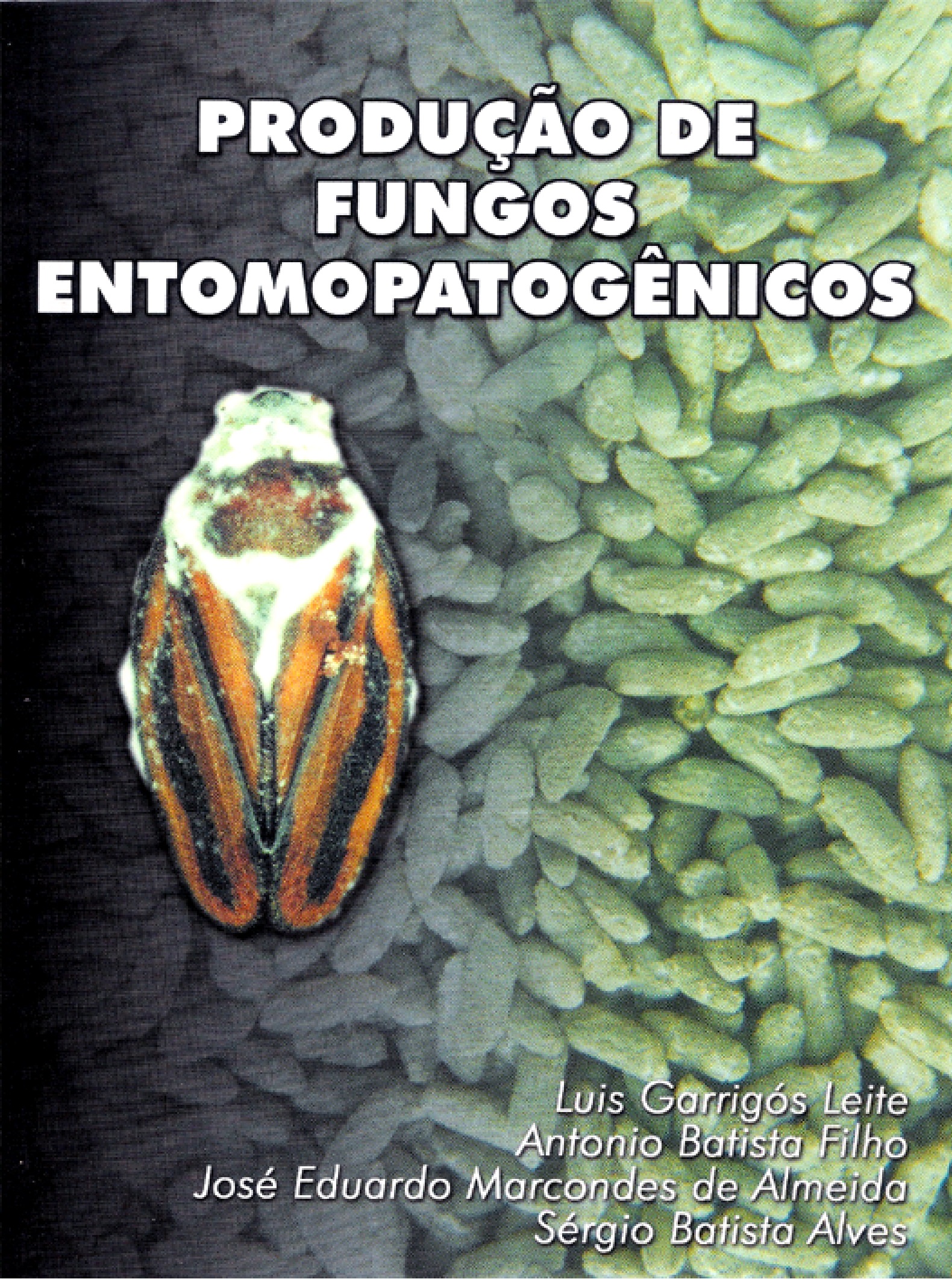 fungos entomopatogênicos